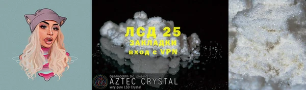 ПСИЛОЦИБИНОВЫЕ ГРИБЫ Арсеньев