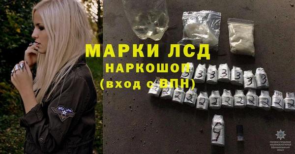 ПСИЛОЦИБИНОВЫЕ ГРИБЫ Арсеньев