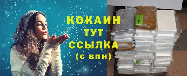 ПСИЛОЦИБИНОВЫЕ ГРИБЫ Арсеньев